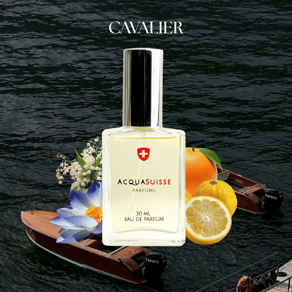 Acquasuisse EDP CAVALIER | for Men Pabango Blend Cologne Fragrance Scent